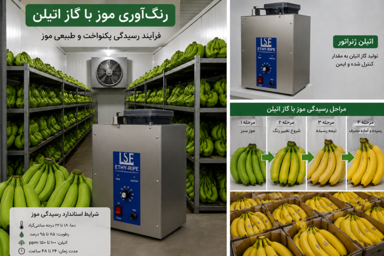 0 تا 100 راهنمای کامل رسیدگی موز با اتیلن|گاز اتیلن برای رنگآوری موز